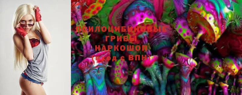 закладка  Котельнич  Псилоцибиновые грибы Magic Shrooms 