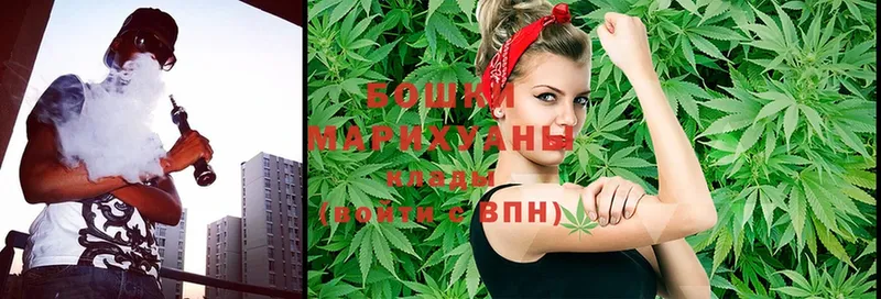 Шишки марихуана Ganja  Котельнич 